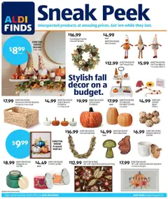 Preview Aldi In Store Ad valid from 08/20/2025