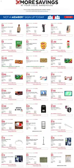 Preview Costco weekly flyer valid from Jan 19, 2026