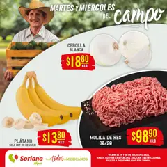 Soriana - Folleto válido desde 29/07/2025