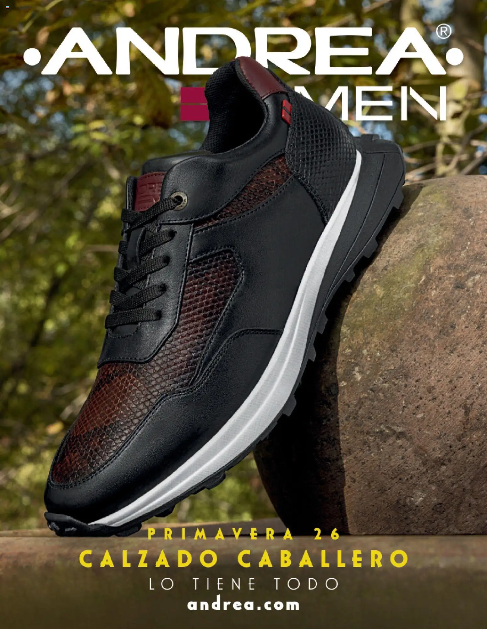 Andrea catálogo Calzado Caballero - página 1- válido desde 25/01/2026