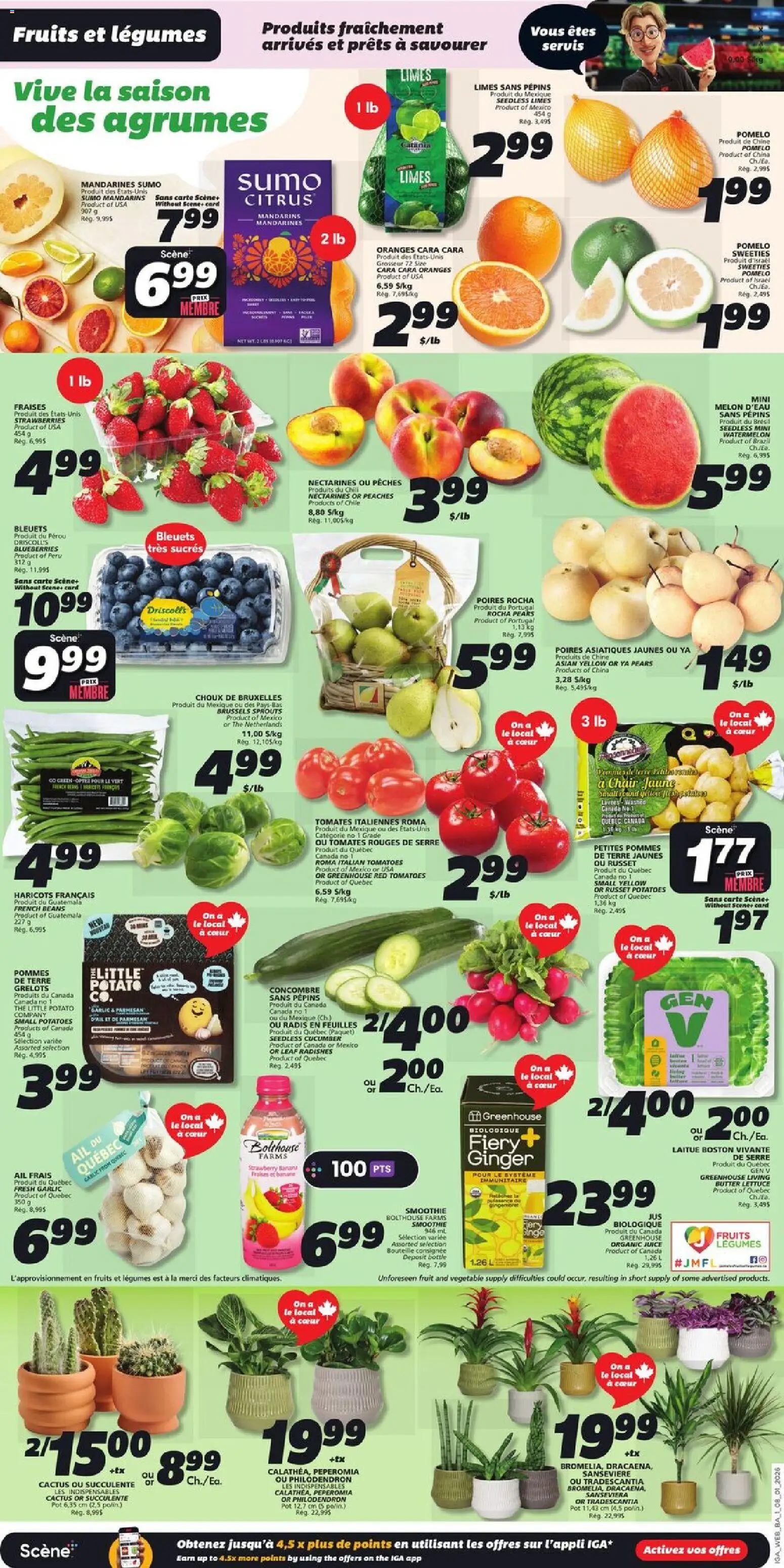 IGA weekly flyer / circulaire - page 3- valid from Jan 8, 2026