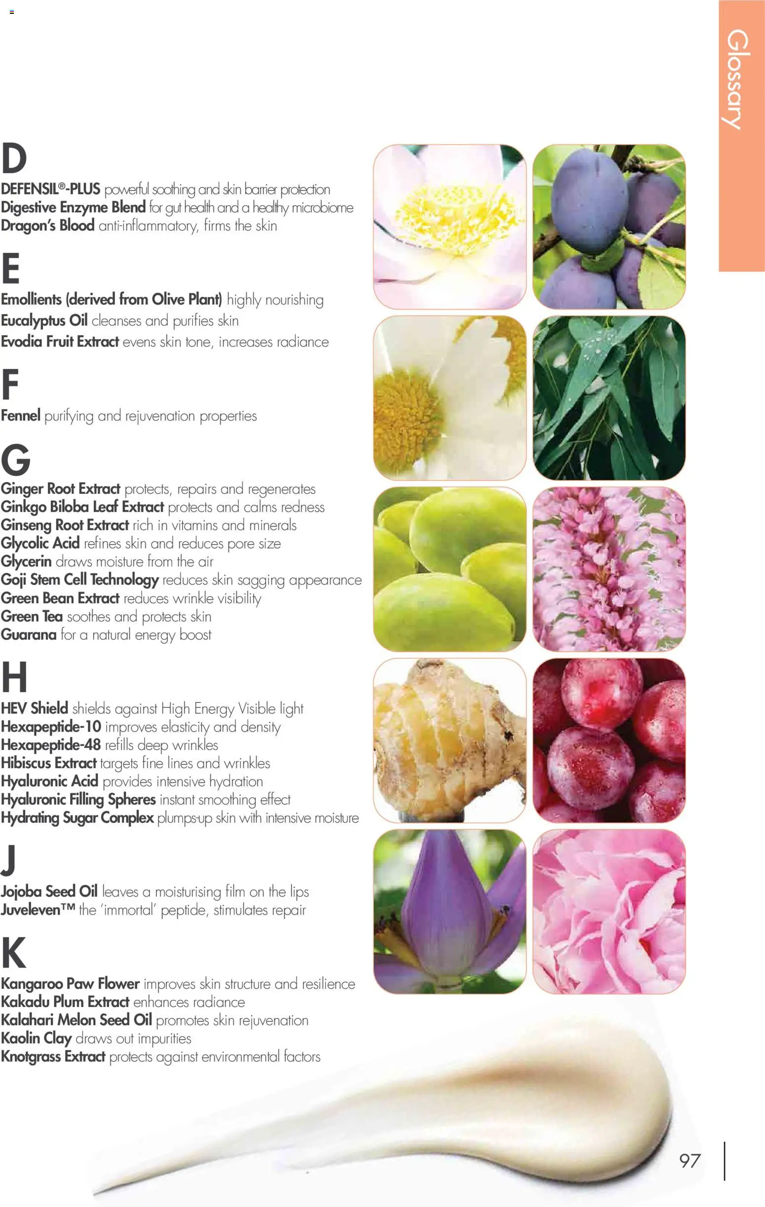 Nutrimetics Catalogue 2026 - page 97- valid from 01/01/2026