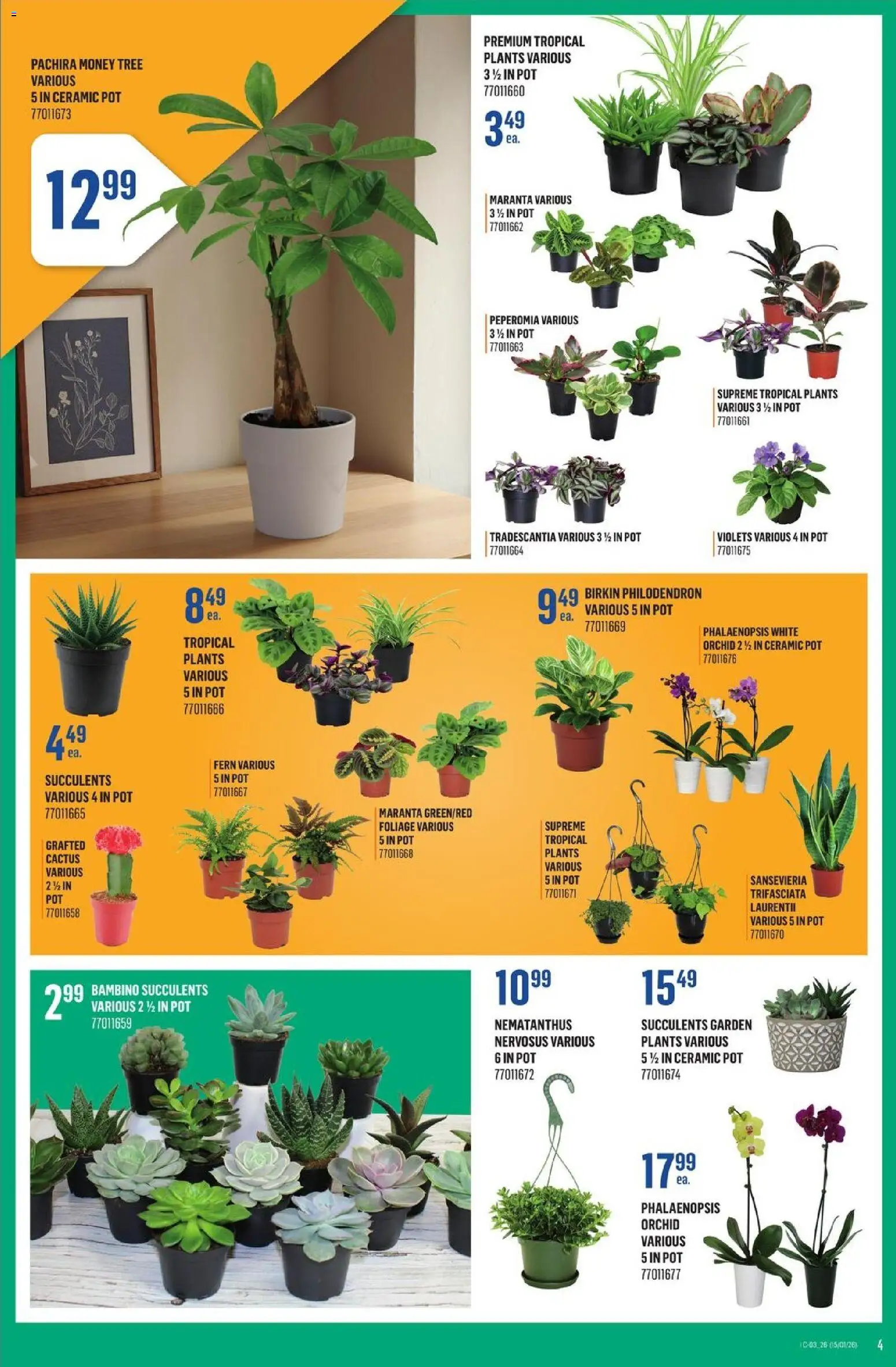 Canac weekly flyer - page 4- valid from Jan 15, 2026