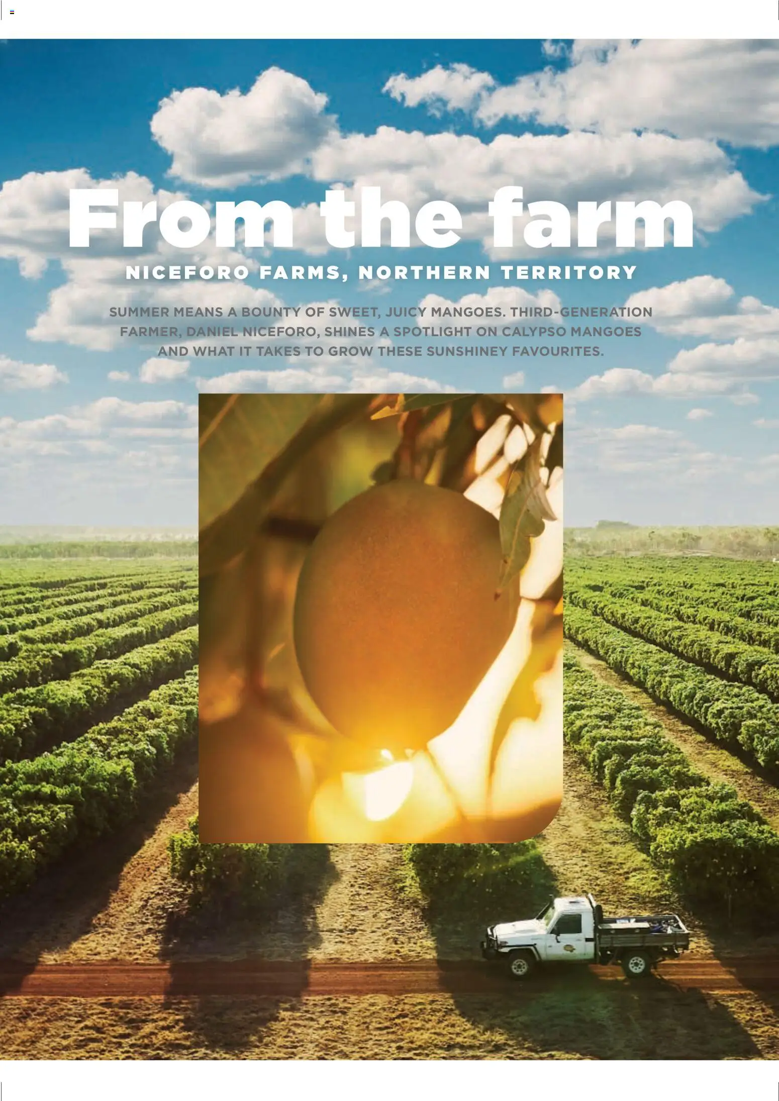 Coles November 2025 - page 20- valid from 06/11/2025