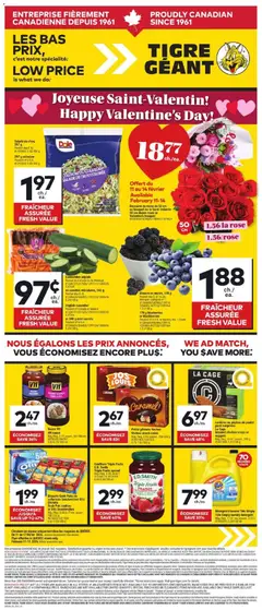 Preview Giant Tiger weekly flyer / circulaire valid from Feb 11, 2026
