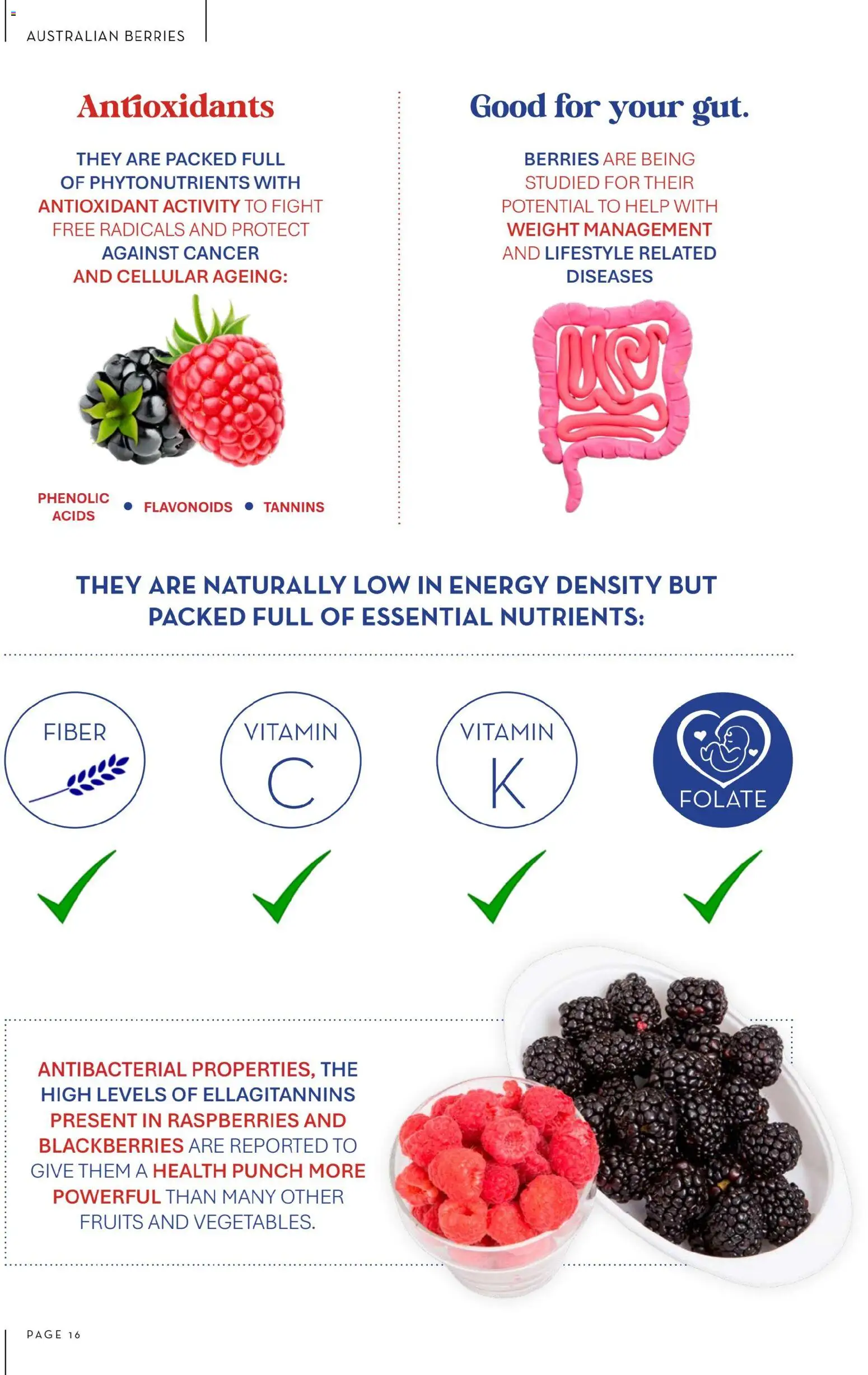 Foodworks Magazine - page 16- valid from 01/10/2025