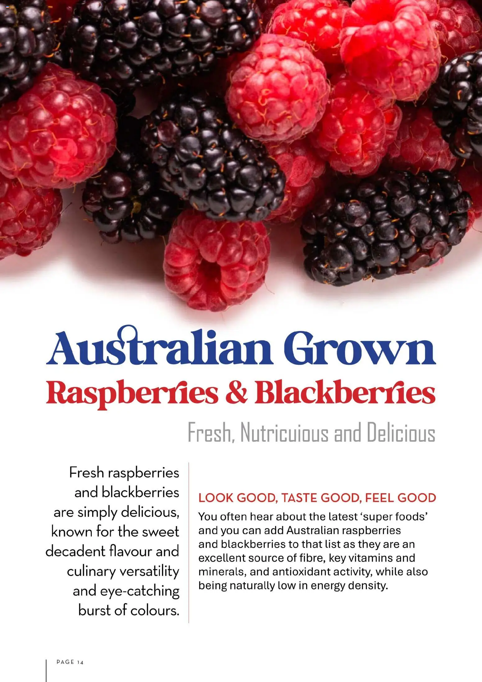 Foodworks Magazine - page 14- valid from 01/10/2025