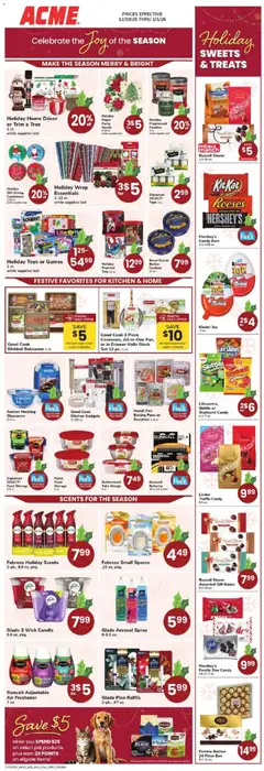 Preview Acme Ad valid from 12/19/2025