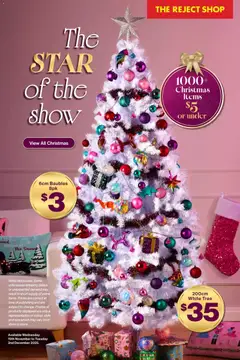 The Reject Shop catalogue preview - valid from 19/11/2025