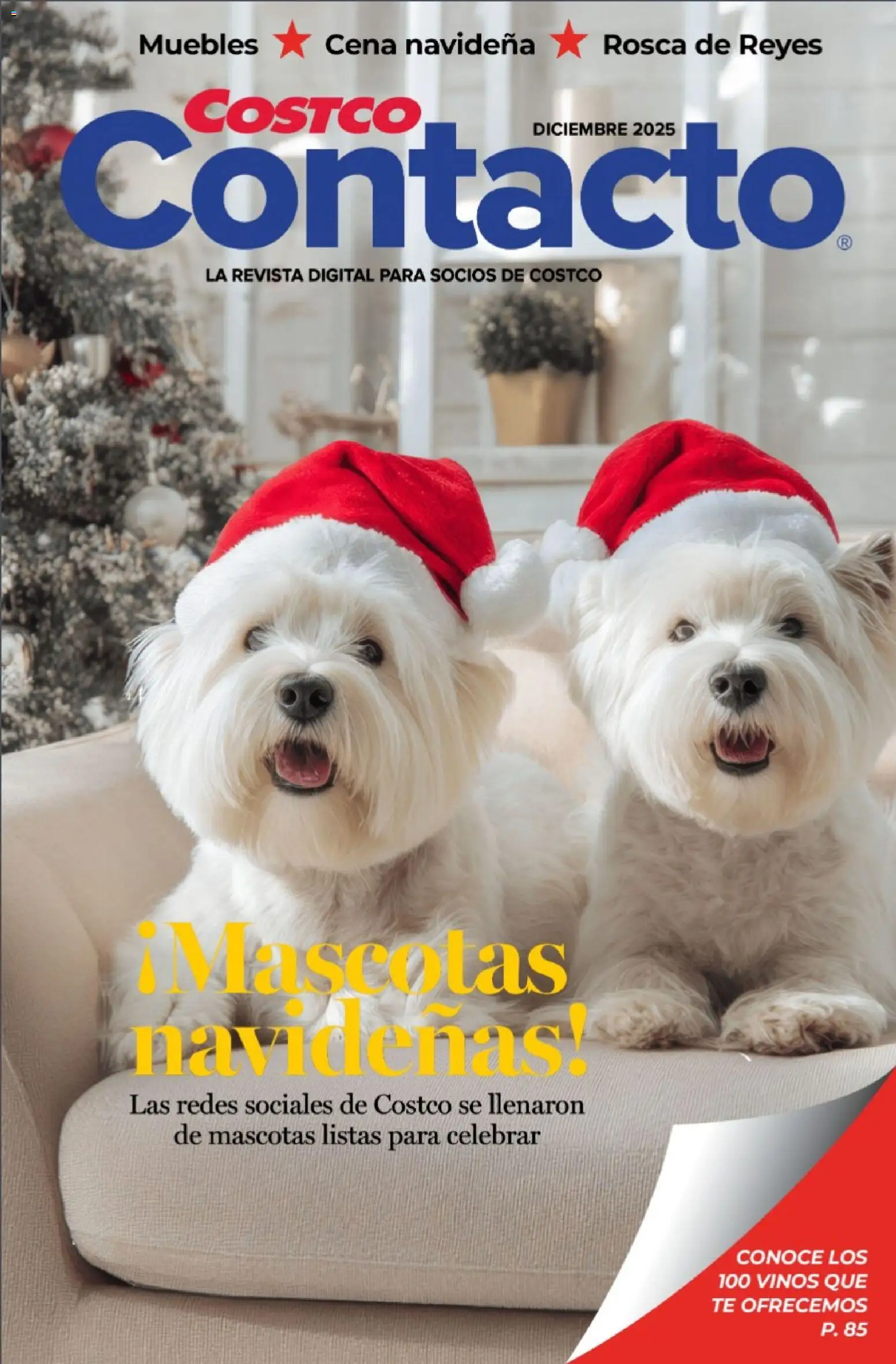 Costco Revista Diciembre - página 1- válido desde 01/12/2025