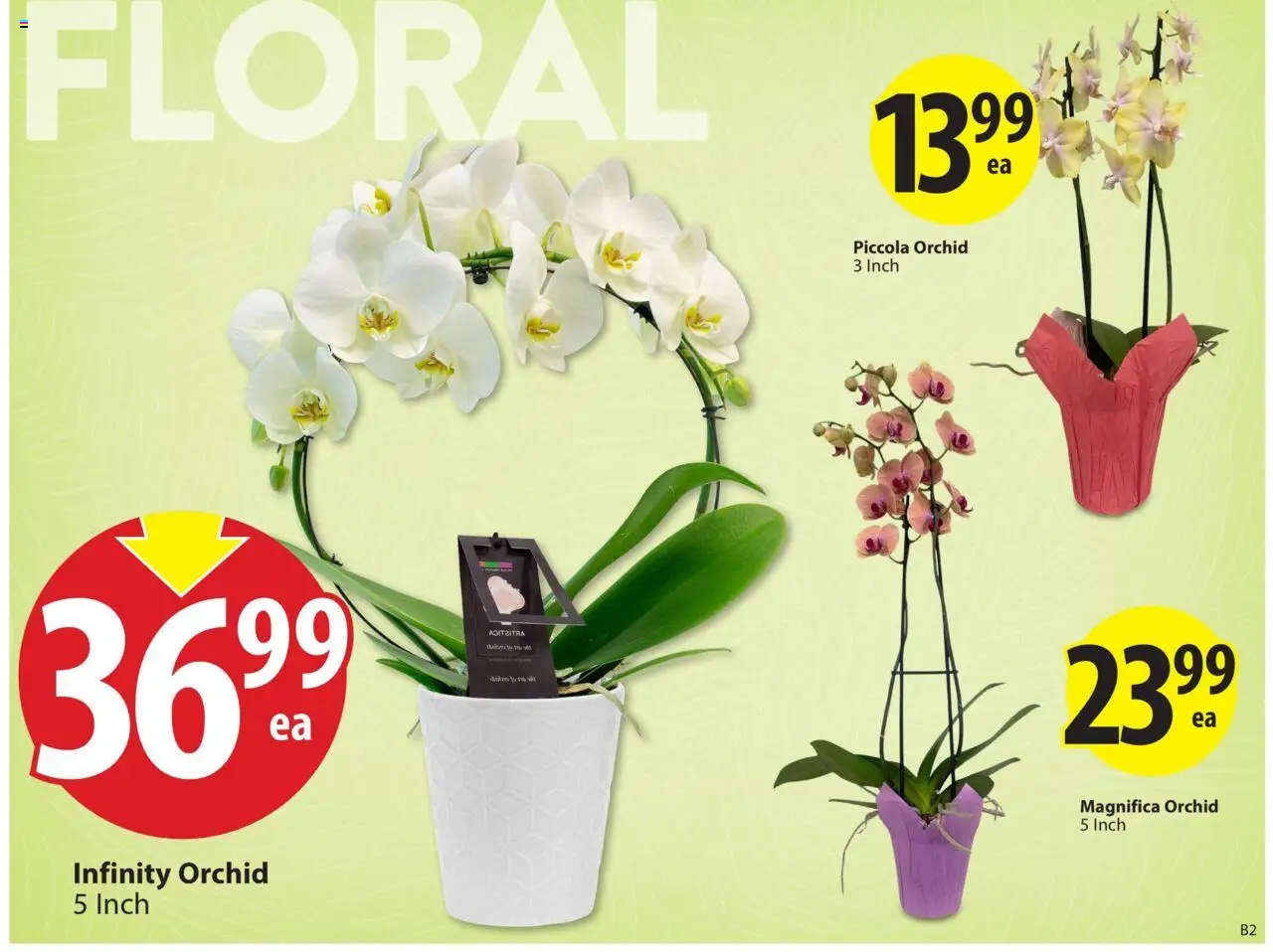 Save on foods weekly flyer / circulaire - page 4- valid from Jul 17, 2025