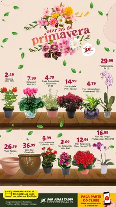 Pré-visualização São Judas Tadeu - Ofertas de Primavera válida a partir de 23/10/2025