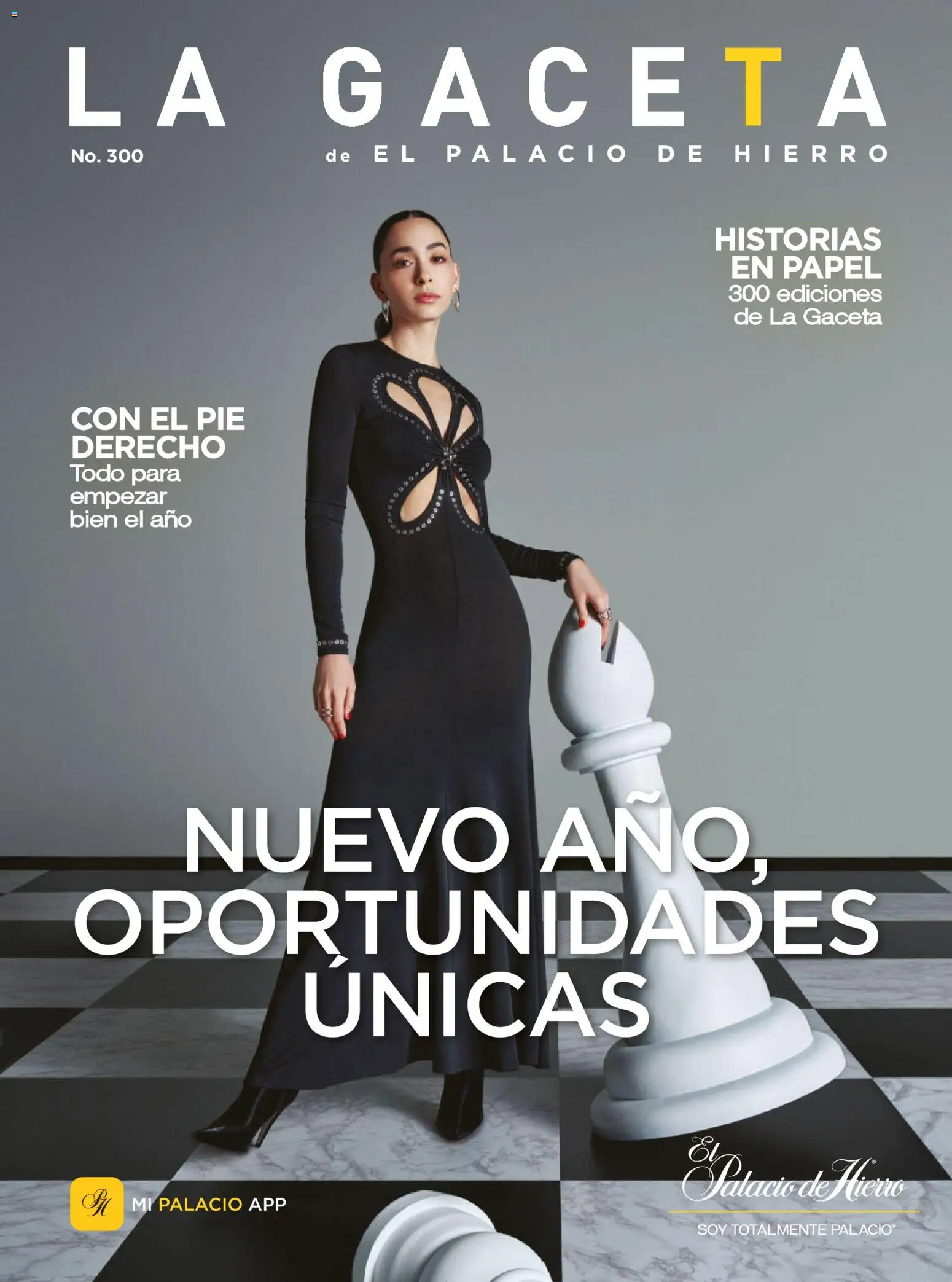 Palacio De Hierro catálogo - página 1- válido desde 26/12/2025