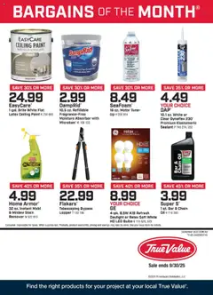 Preview True Value Monthly Ad valid from 09/01/2025