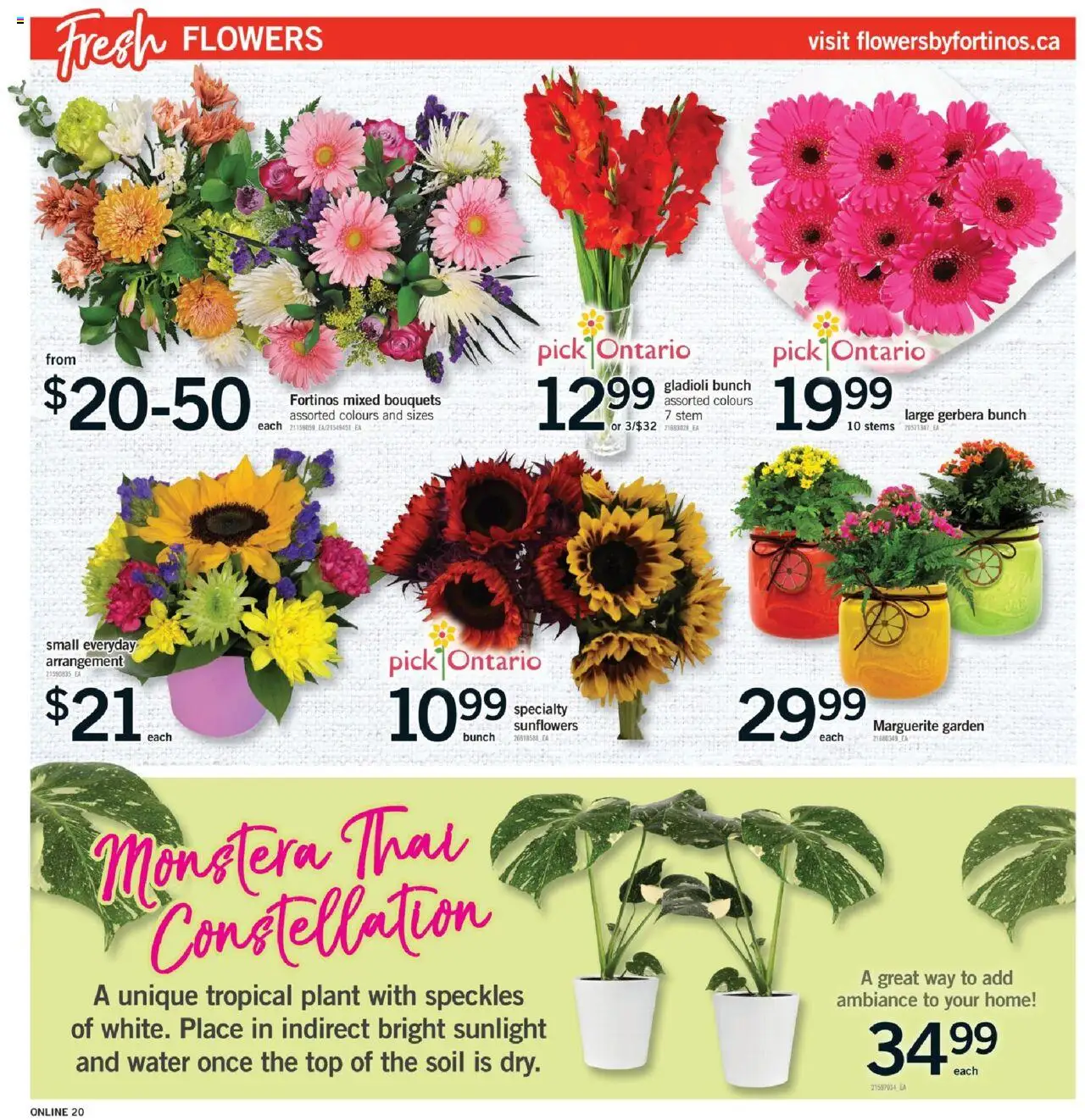 Fortinos weekly flyer / circulaire - page 19- valid from Jul 17, 2025