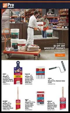 Preview Home Depot Shop Pro Ad - CA valid from 02/16/2026