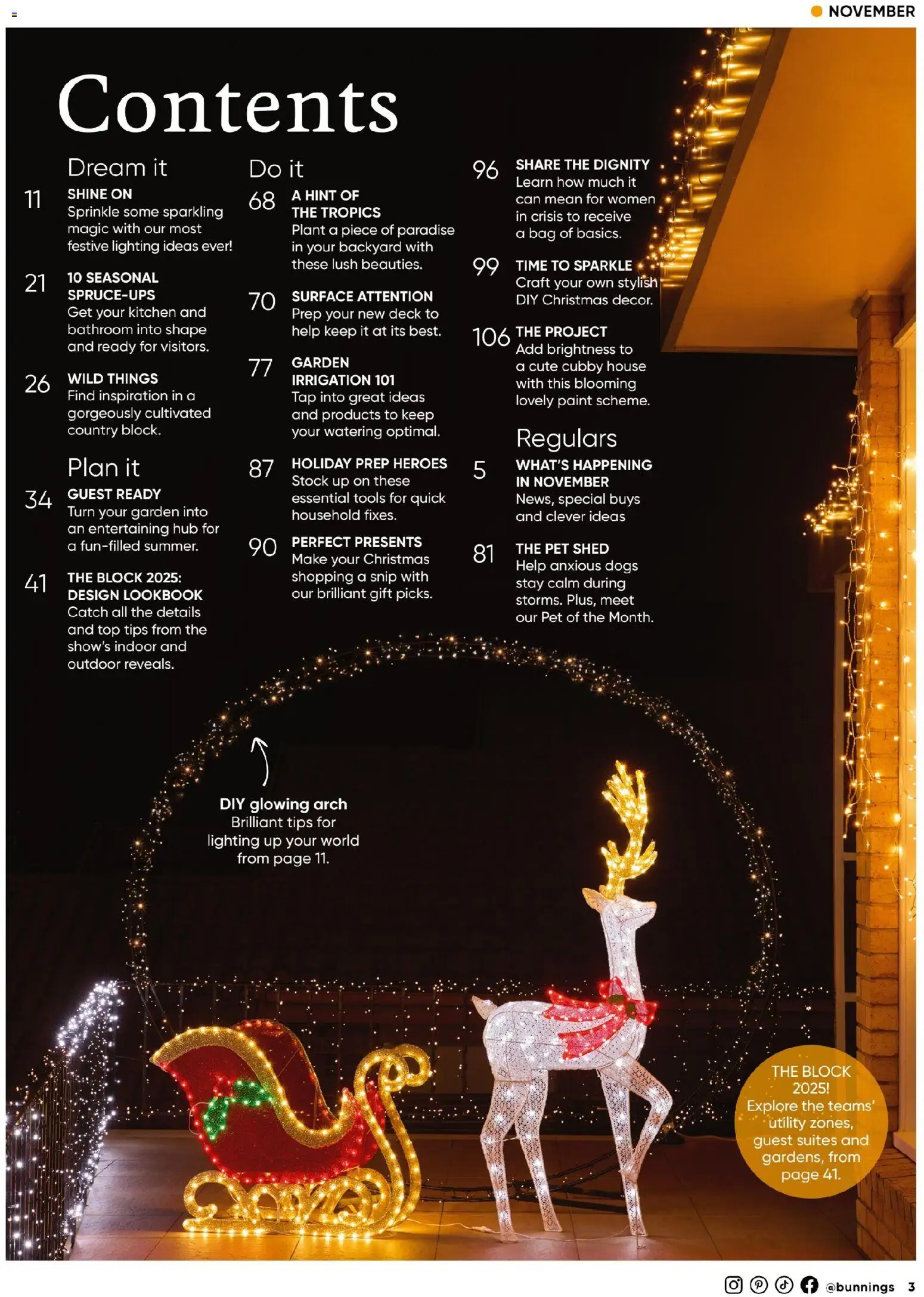 Catalogue Bunnings Warehouse November  - page 3- valid from 01/11/2025