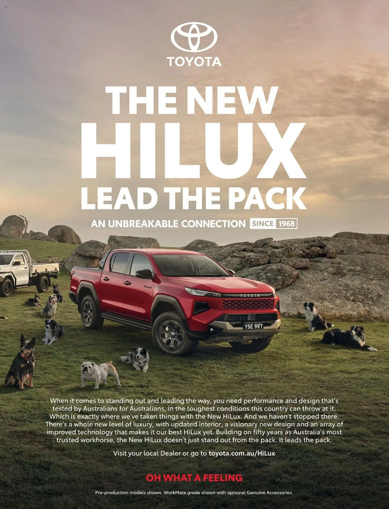 Catalogue Bunnings Warehouse January - page 3- valid from 01/01/2026