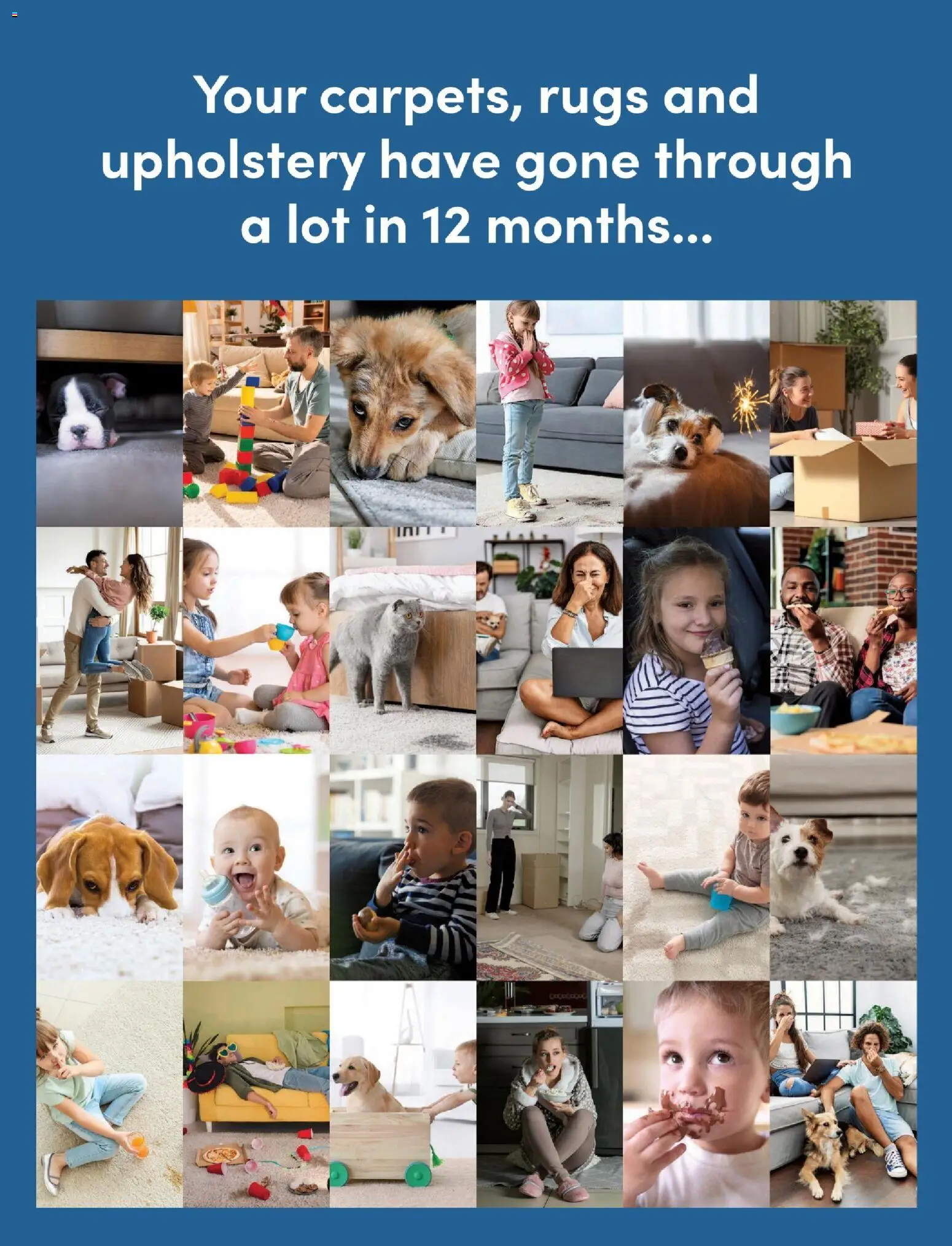 Catalogue Bunnings Warehouse January - page 52- valid from 01/01/2026