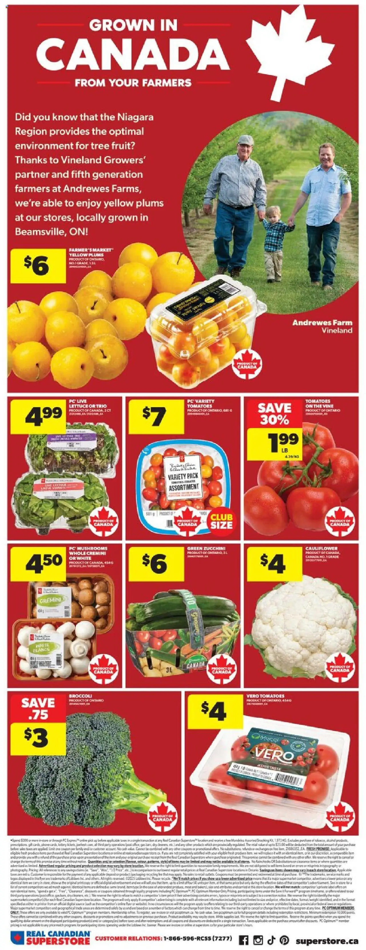 Real Canadian Superstore weekly flyer / circulaire - page 6- valid from Jul 17, 2025