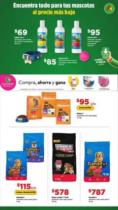 Bodega Aurrerá folleto Encuentra todo para tus mascotas válido desde 01/01/2026