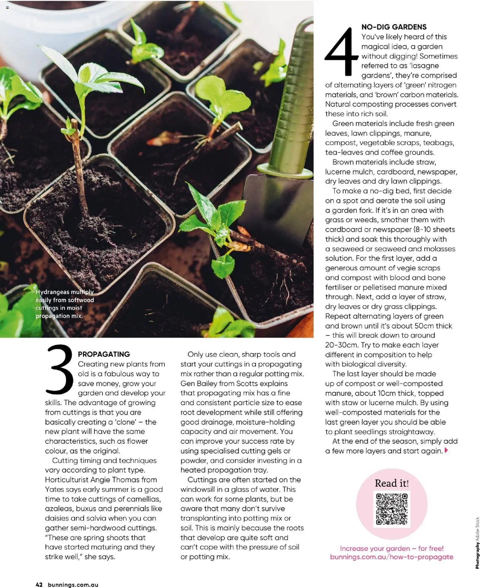 Catalogue Bunnings Warehouse January - page 42- valid from 01/01/2026