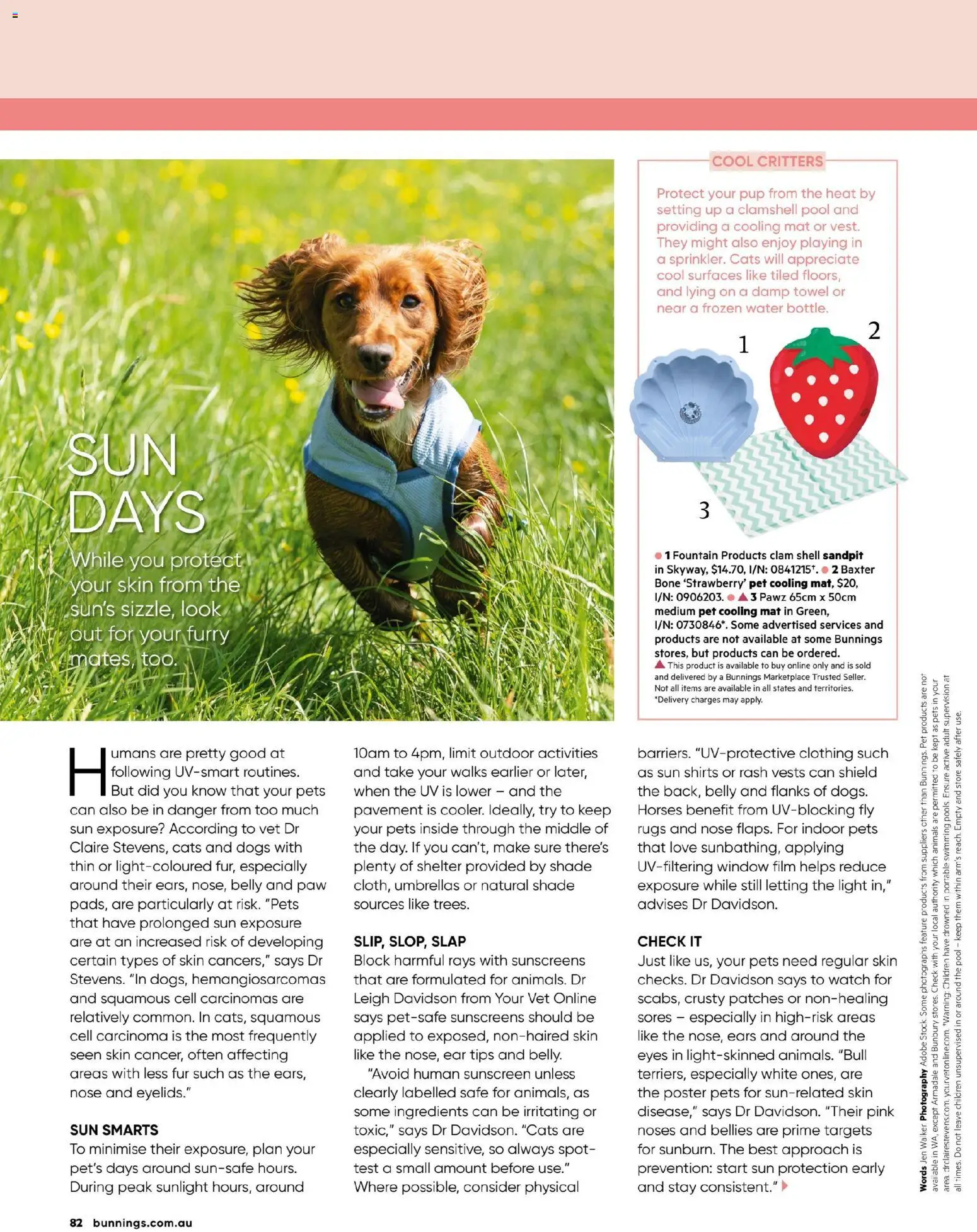 Catalogue Bunnings Warehouse November  - page 82- valid from 01/11/2025