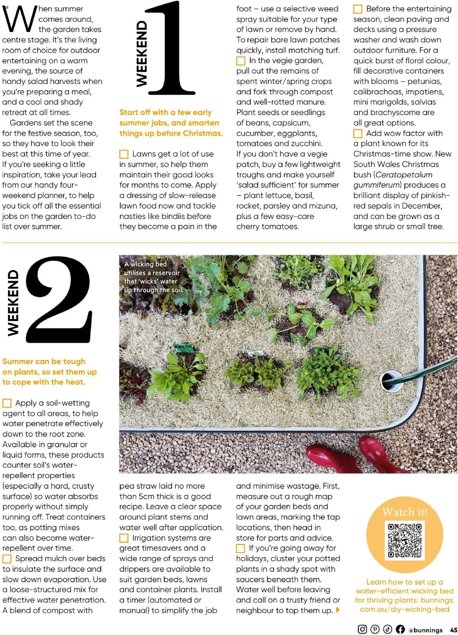 Catalogue Bunnings Warehouse December  - page 45- valid from 01/12/2025