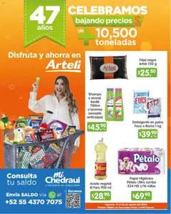 Arteli - Folleto de aniversario  válido desde 16/07/2025