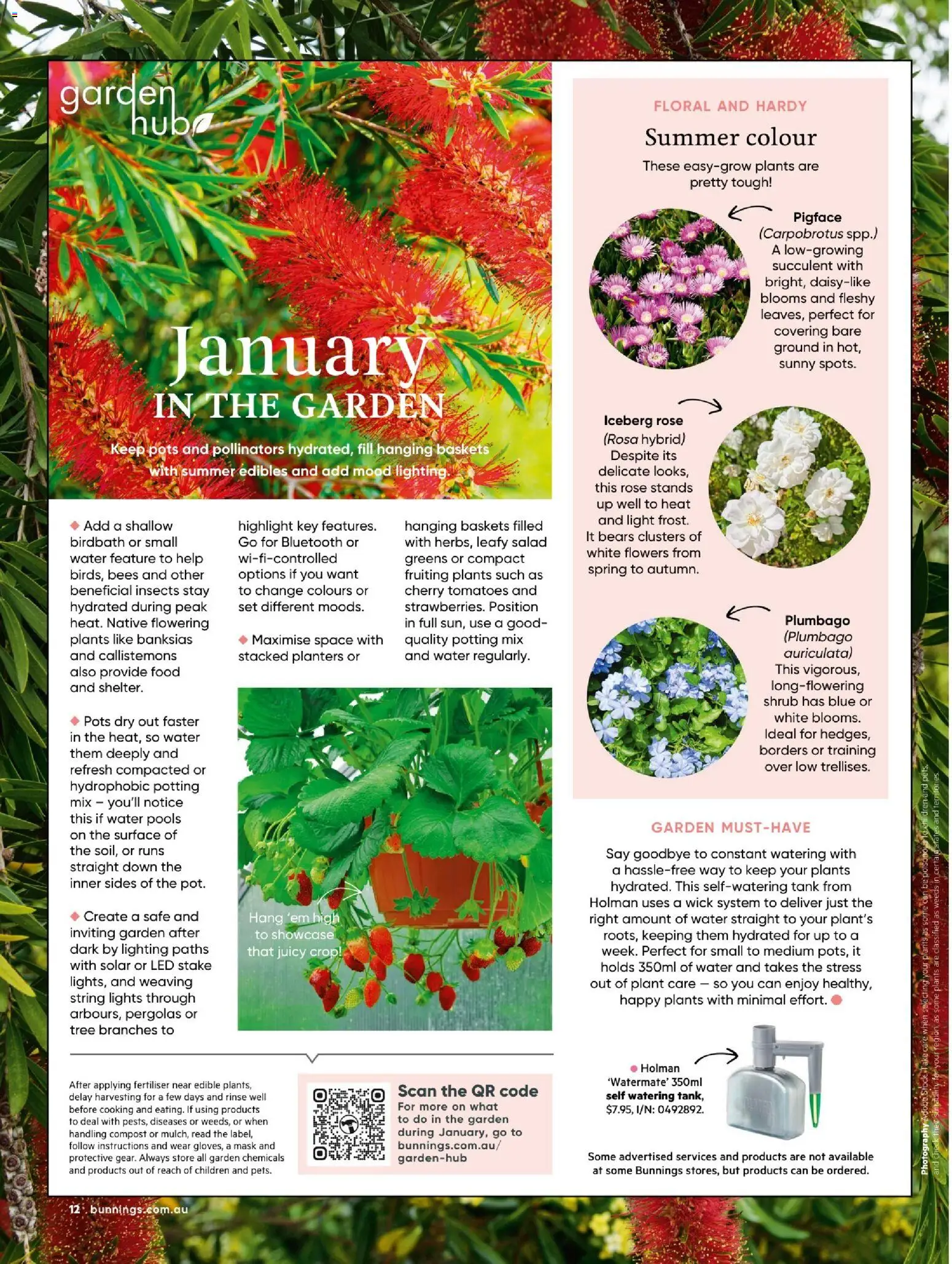 Catalogue Bunnings Warehouse January - page 12- valid from 01/01/2026