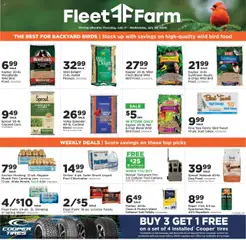 Preview Mills Fleet Farm Weekly Ad valid from 07/17/2025