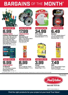 Preview True Value - October Bargains of the Month valid from 10/01/2025