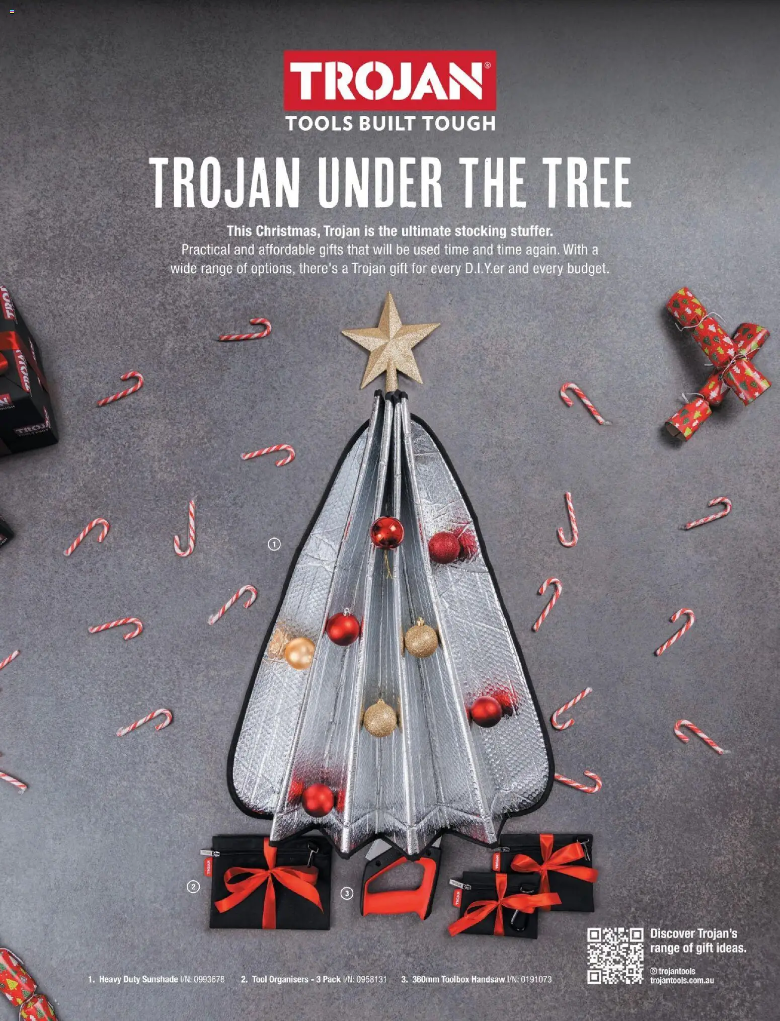 Catalogue Bunnings Warehouse December  - page 4- valid from 01/12/2025