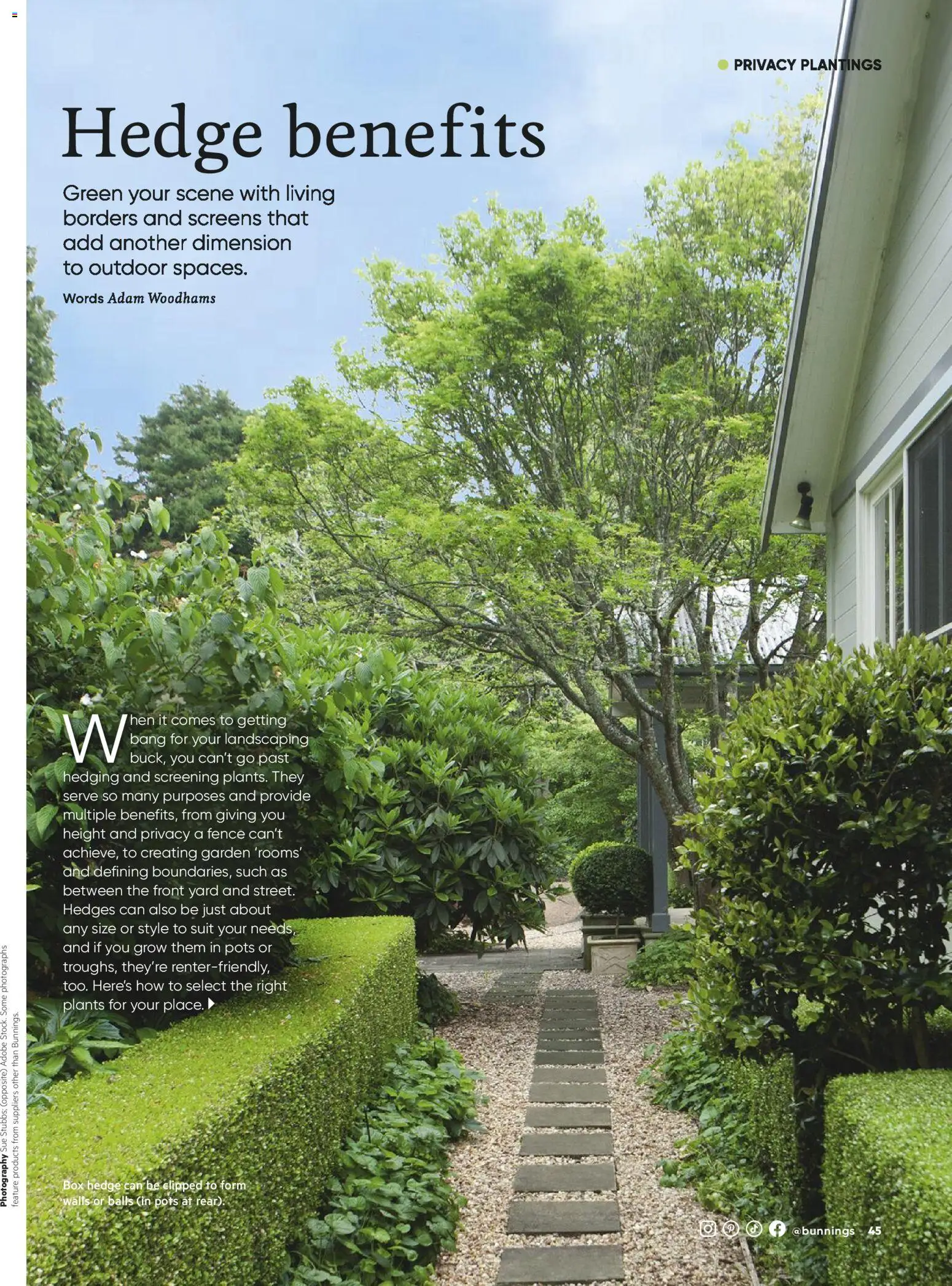 Catalogue Bunnings Warehouse March - page 45- valid from 01/03/2026