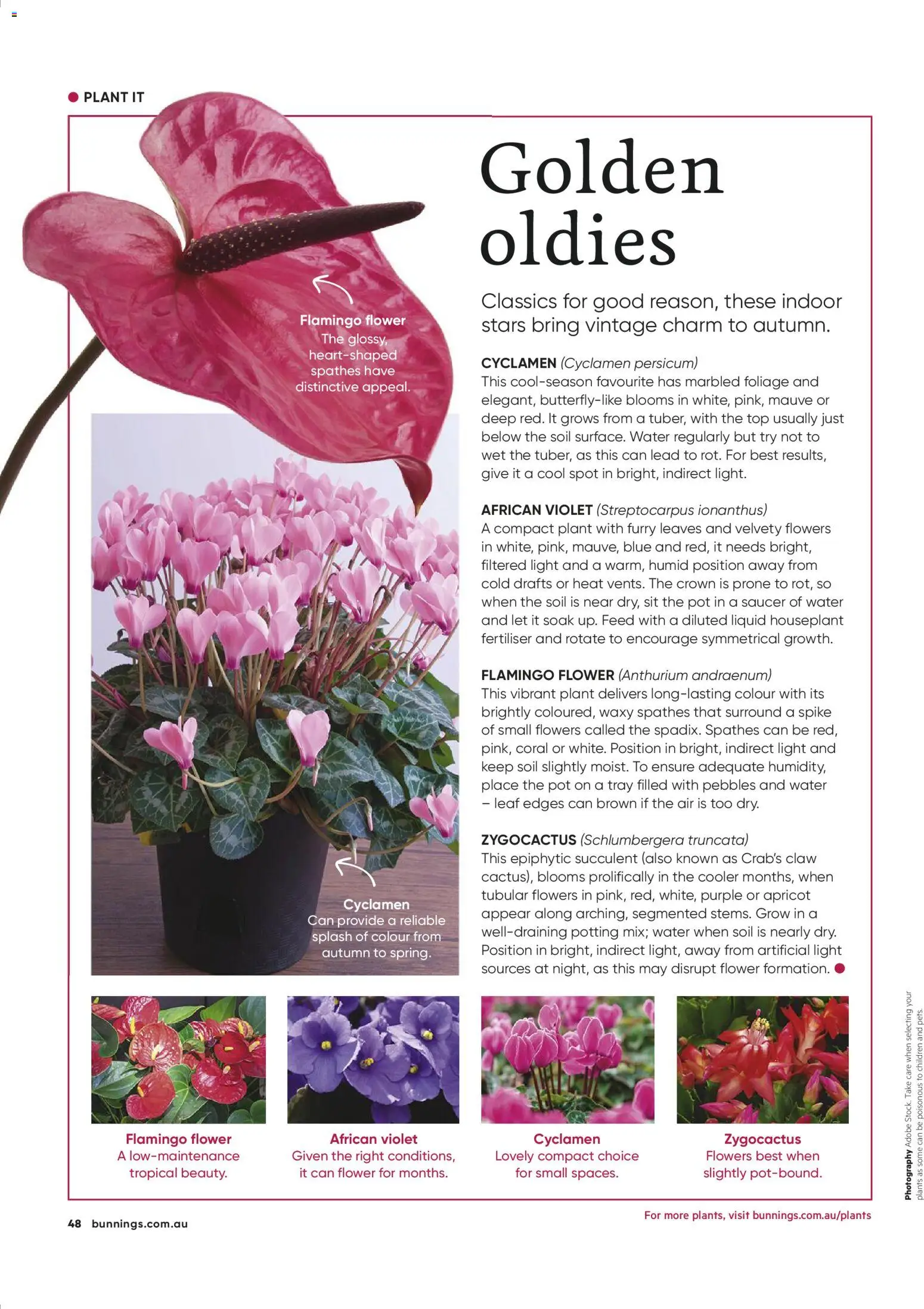 Catalogue Bunnings Warehouse March - page 48- valid from 01/03/2026