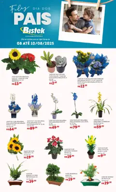 Pré-visualização Bistek Supermercados - Ofertas Flores válida a partir de 08/08/2025
