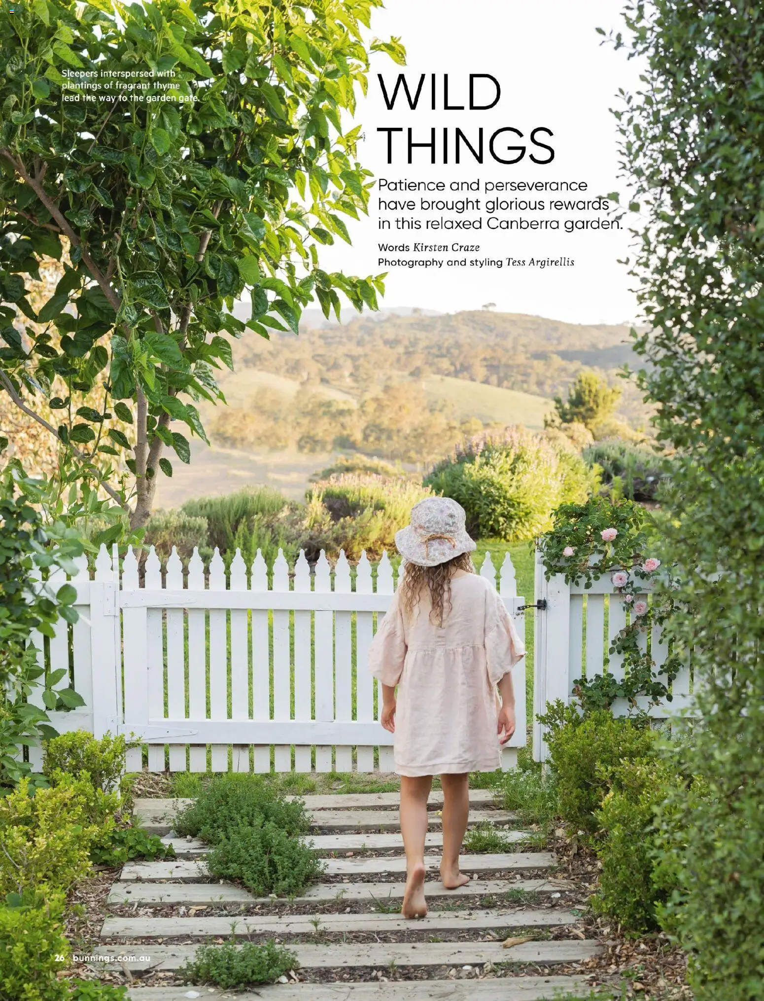 Catalogue Bunnings Warehouse November  - page 26- valid from 01/11/2025