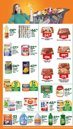 Arteli folleto Express válido desde 03/02/2026