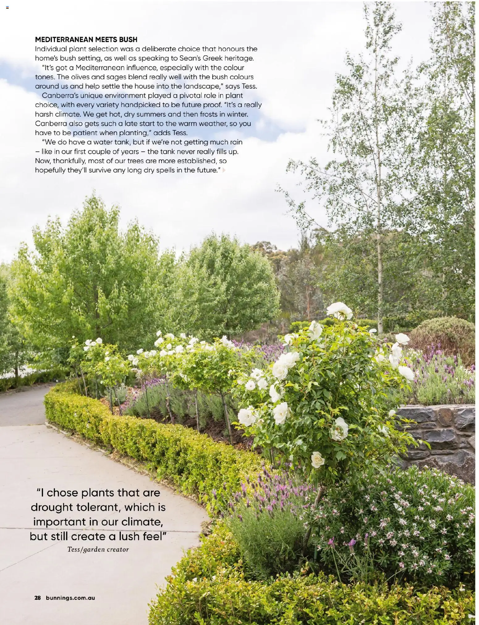 Catalogue Bunnings Warehouse November  - page 28- valid from 01/11/2025