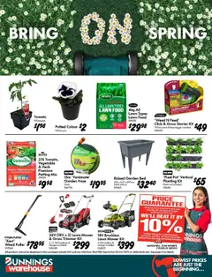 Bunnings Warehouse catalogue preview - valid from 10/09/2025