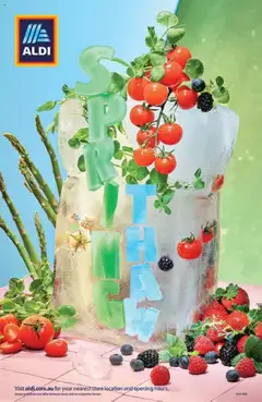 Aldi catalogue preview - valid from 17/09/2025