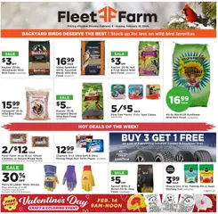 Preview Mills Fleet Farm Weekly Ad valid from 02/09/2026